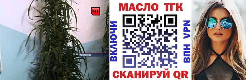 ТГК концентрат  сколько стоит  Приволжск 
