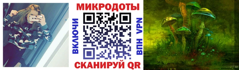 Галлюциногенные грибы Psilocybine cubensis  где продают   Приволжск 
